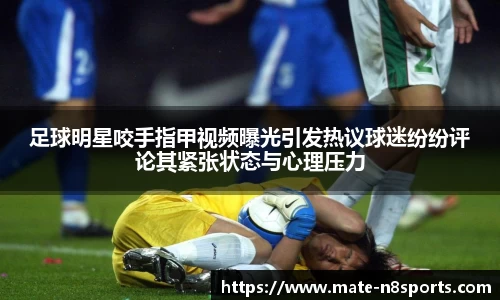 牛八体育官网